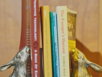 books-rabbit