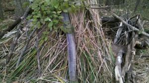 Survival Shelter Debris Hut Using Cattails