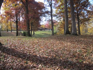 21 Acre Training Grounds with 10,000 sq. ft. Lodge 21 Acre Training Grounds with 10,000 sq. ft. Lodge