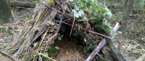 Survival Debris Hut