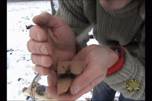 Coal on Catch Coal on Catch
