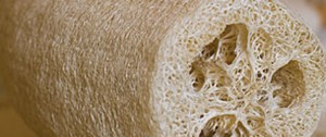 Natural Luffa Sponge