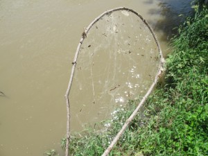 Spider Web Net - Arrival at creek
