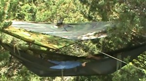 Improvised Hammock by JJ Johnson Improvised Hammock by JJ Johnson