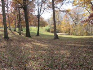 21 Acre Training Grounds with 10,000 sq. ft. Lodge