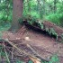 core-four-shelter core-four-shelter