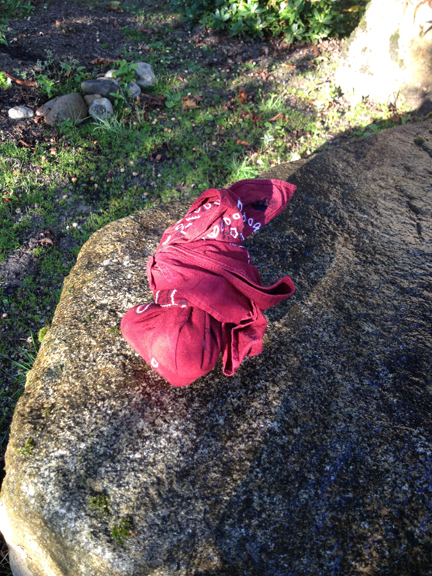 Eye Compress made from Heated River Rock wrapped in Bandana Eye Compress made from Heated River Rock wrapped in Bandana