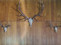 triple-mount