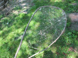 Spider Web Net - In route to water source