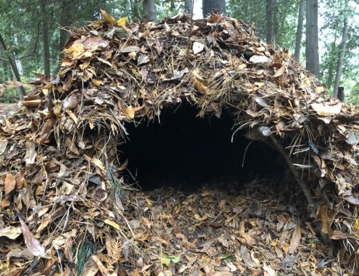 Best Online Survival Course